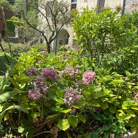 米拉拉格住宿加早餐旅馆及公寓式酒店 2*